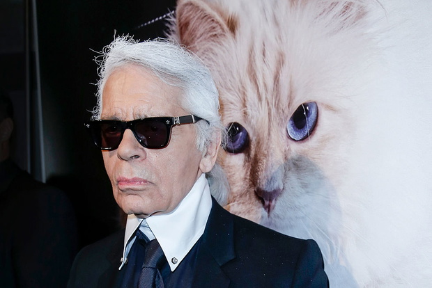 Karl Lagerfeld był właścicielem kotki birmańskiej o imieniu Choupette. Projektant poświęcił jej kolekcję akcesoriów, zadbał o to, by miała własne konto na Twitterze i umiała posługiwać się... iPadem.