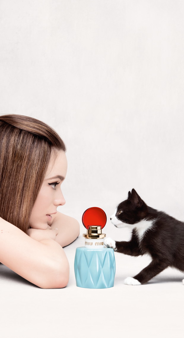 MM_MODEL_CAT_MODEL_WITH_CAT