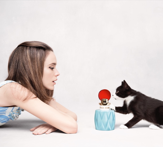MM_MODEL_DRESS_CAT_MEDIA