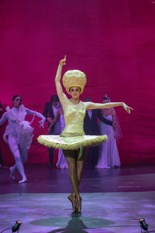 The Barley Dancer, Vanessa Burton, New Zealand