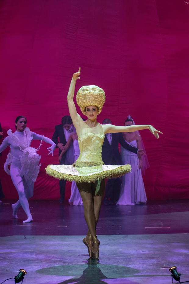 The Barley Dancer, Vanessa Burton, New Zealand