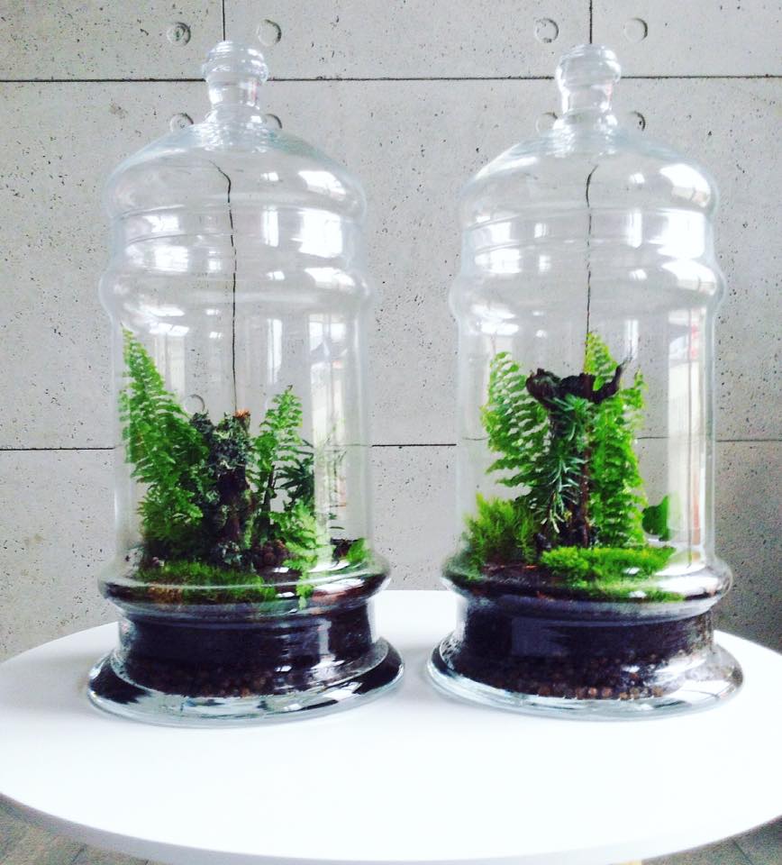 Projekt GreenBells 7