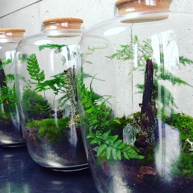 Projekt GreenBells 1