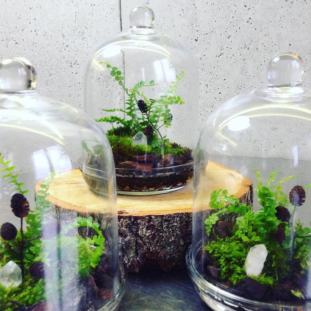 Projekt GreenBells 11