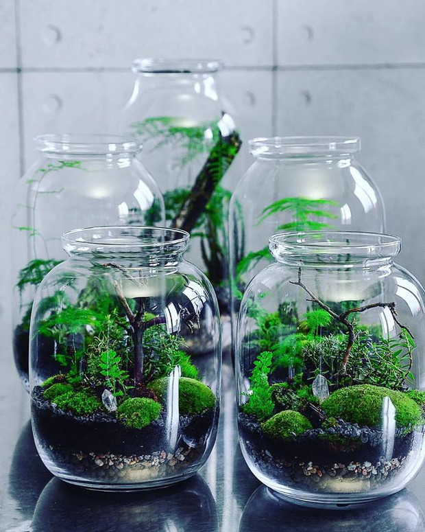 Projekt GreenBells 12