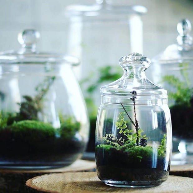 Projekt GreenBells 2