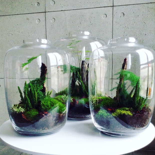 Projekt GreenBells 3