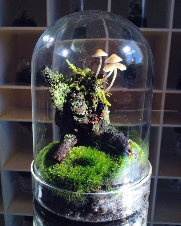 Projekt GreenBells 4