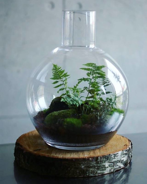 Projekt GreenBells 5