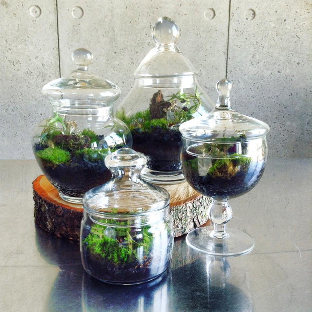 Projekt GreenBells 6