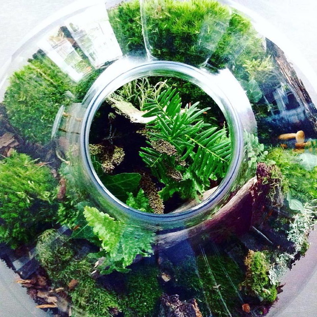 Projekt GreenBells 8