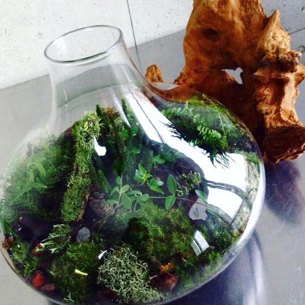 Projekt GreenBells 9