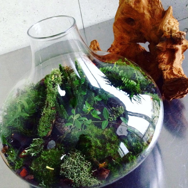 Projekt GreenBells 9