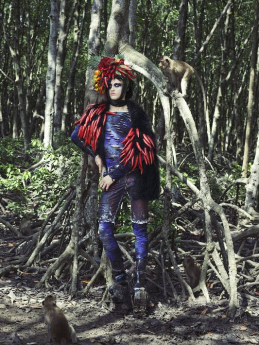 Radek Pestka, TOP MODEL 2015 ODCINEK 11: sesja z małpami