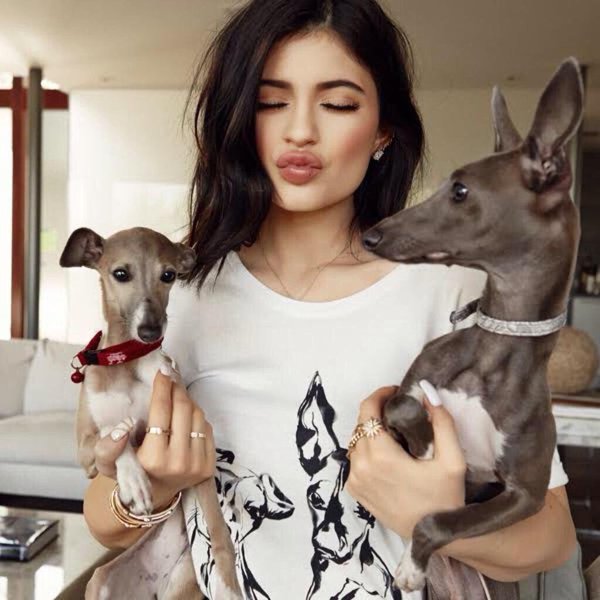Kylie jenner dogs
