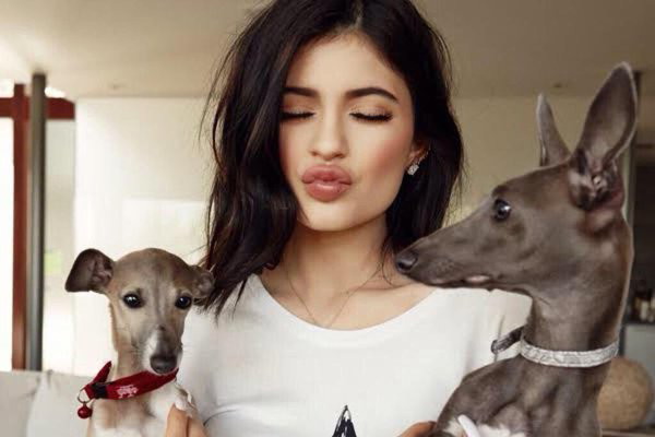 Kylie jenner dogs