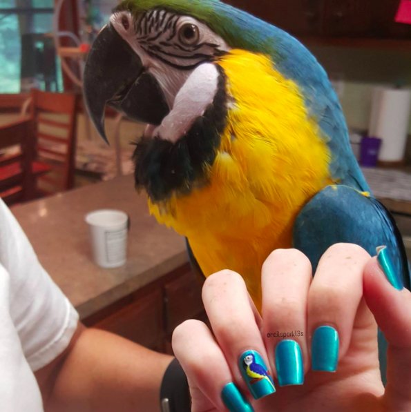 7 kont na Instagramie, które warto obserwować, Instagram @nailsparkl3s 2