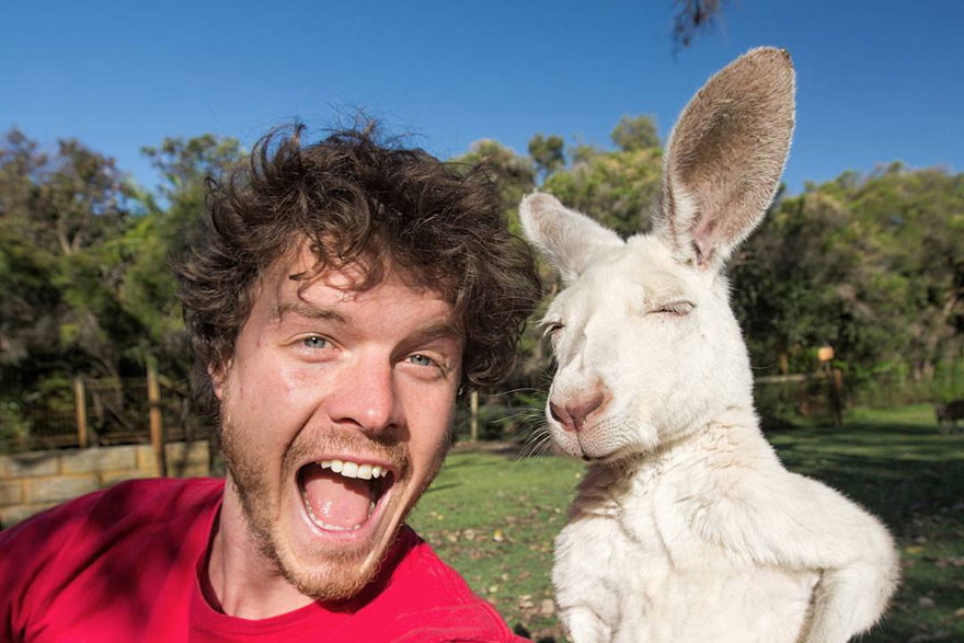 funny-animal-selfies-allan-dixon-11