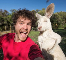 funny-animal-selfies-allan-dixon-11