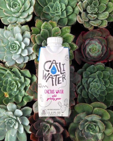 @drinkcaliwater Instagram