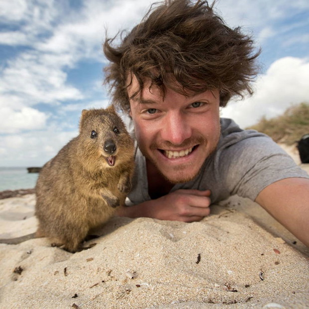 funny-animal-selfies-allan-dixon-13