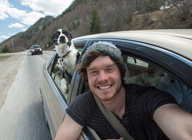 funny-animal-selfies-allan-dixon-23
