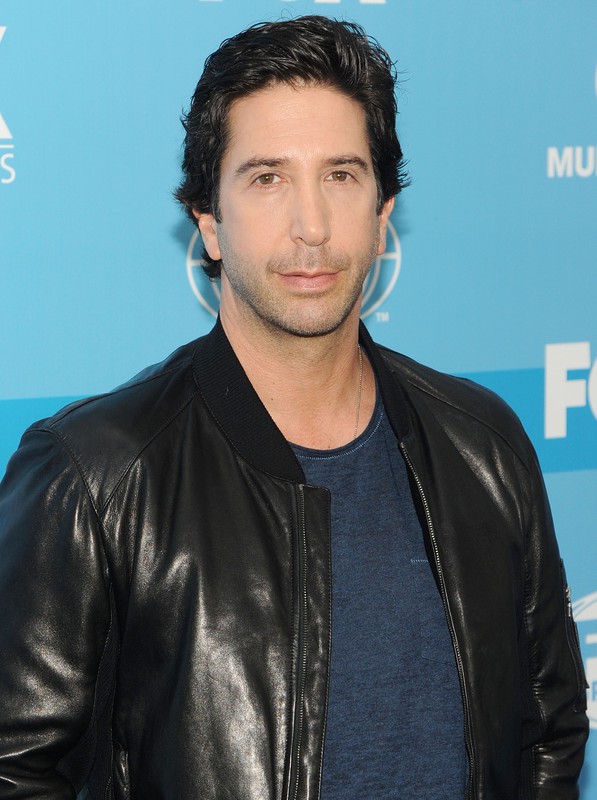 David Schwimmer / East News