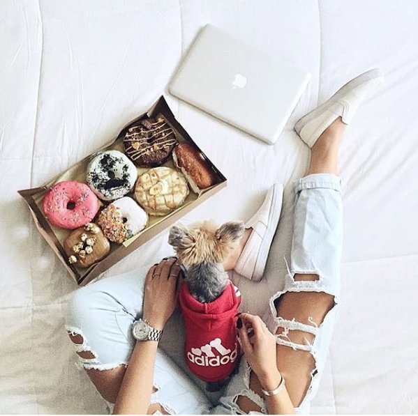 #donuts Instagram