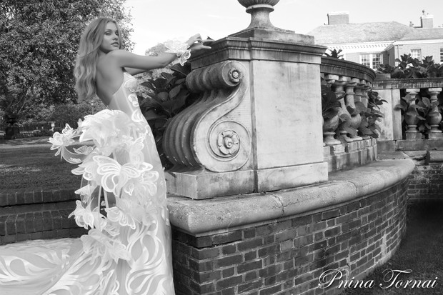 pnina tornai butterfly