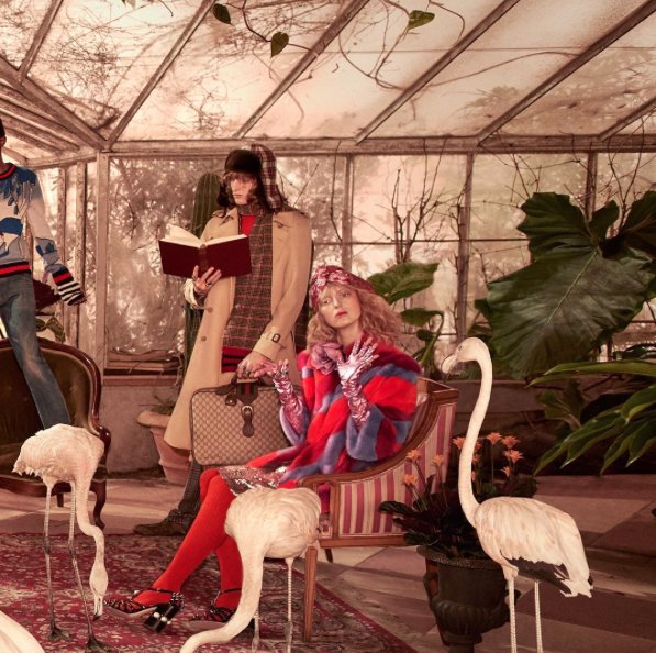 Gucci-Pre-Fall-2016-8