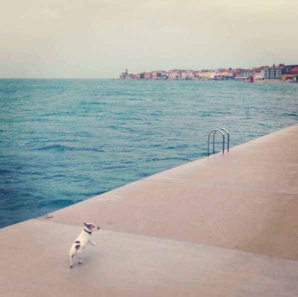 instagram-tygodnia-bartpogoda-17