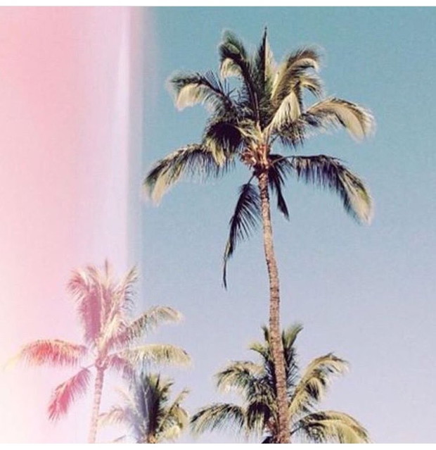 Drive Me Bikini