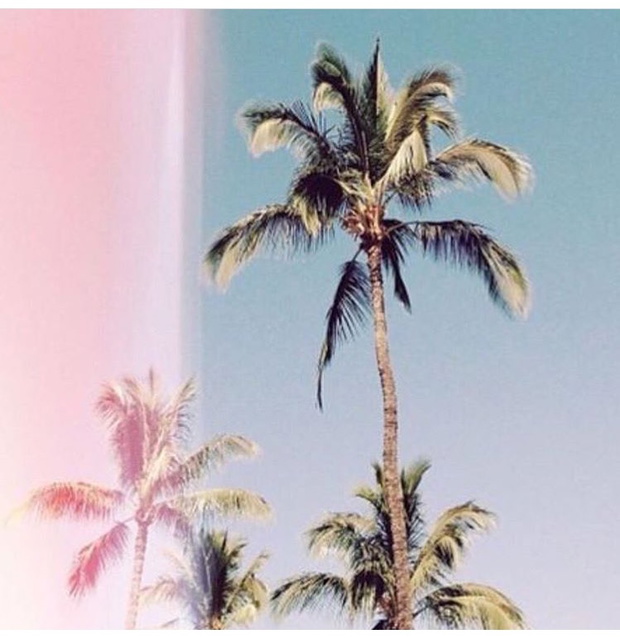 Drive Me Bikini