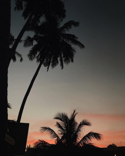 @jemerced Instagram