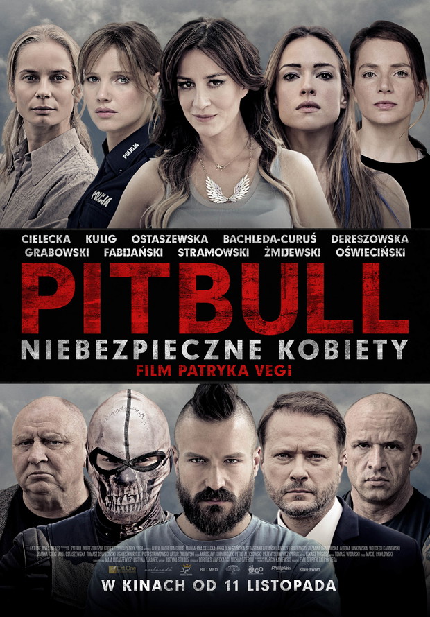 Pitbull 3