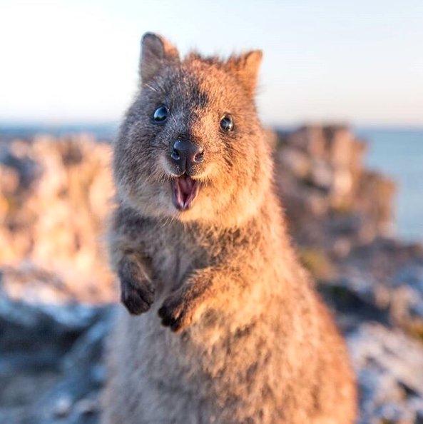 Te zdjęcia sprawią, że zaczniecie planować podróż do Australii