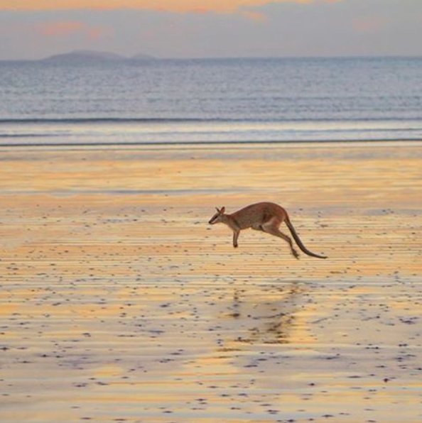 Te zdjęcia sprawią, że zaczniecie planować podróż do Australii