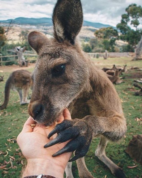 Te zdjęcia sprawią, że zaczniecie planować podróż do Australii