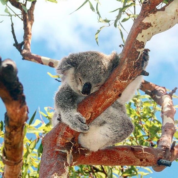 Te zdjęcia sprawią, że zaczniecie planować podróż do Australii