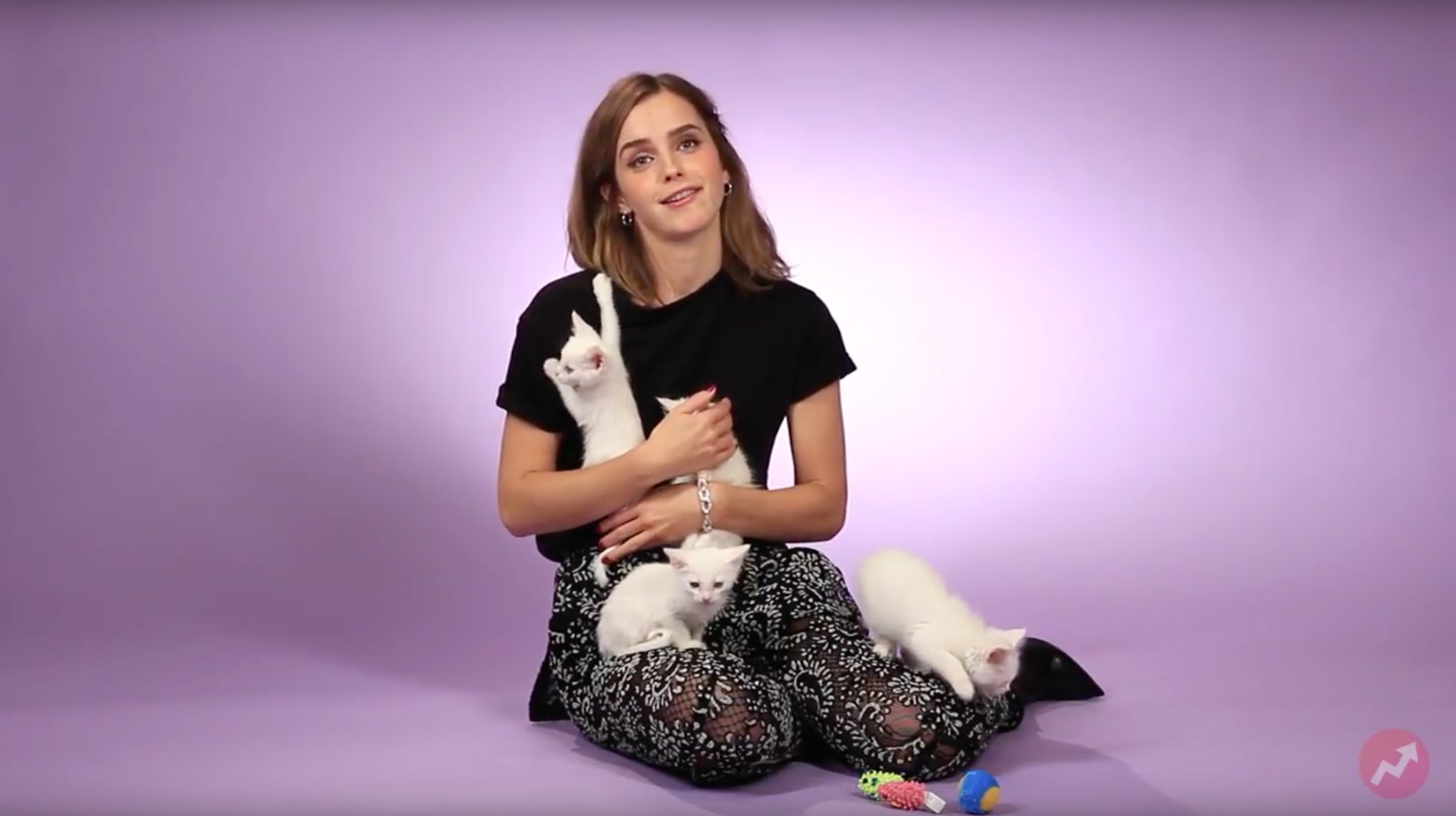 Emma Watson udziela wywiadu otoczona małymi kociętami
