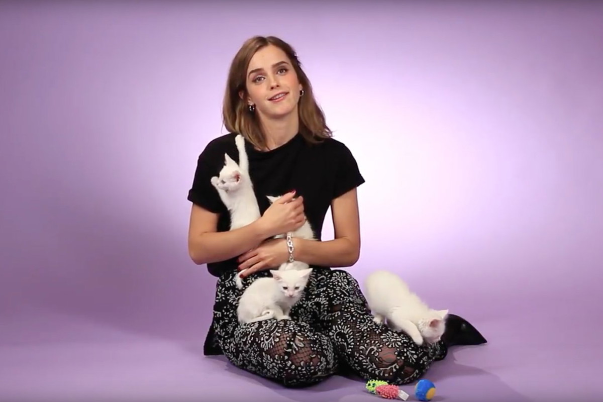 Emma Watson udziela wywiadu otoczona małymi kociętami