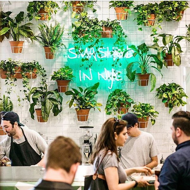 Avocaderia - pierwszy na świecie avocado bar!