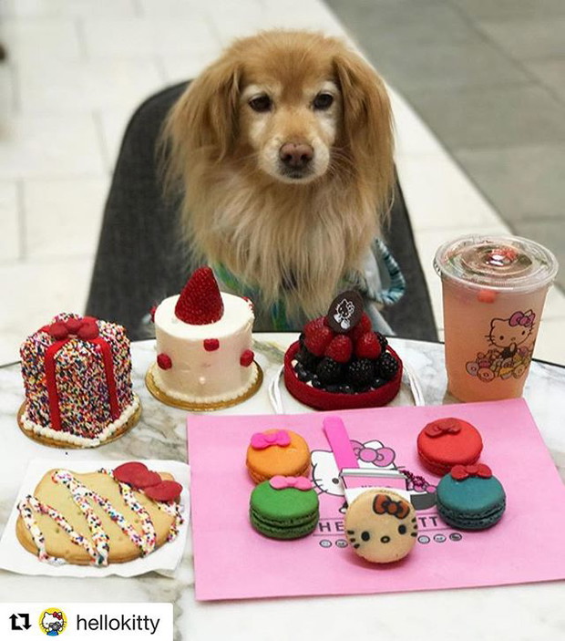Hello Kitty Café, czyli najbardziej urocza kawiarnia świata