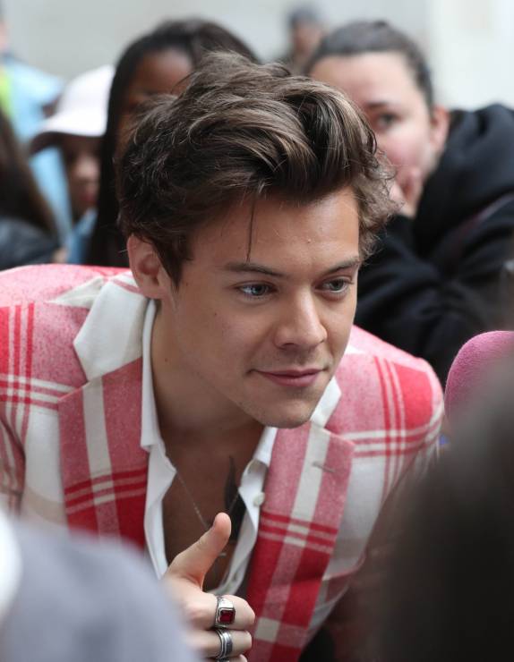 Harry Styles zakochany! Wiemy, kim jest dziewczyna muzyka. To francuska modelka, Camille Rowe.
