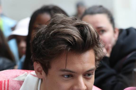 Harry Styles zakochany! Wiemy, kim jest dziewczyna muzyka. To francuska modelka, Camille Rowe.