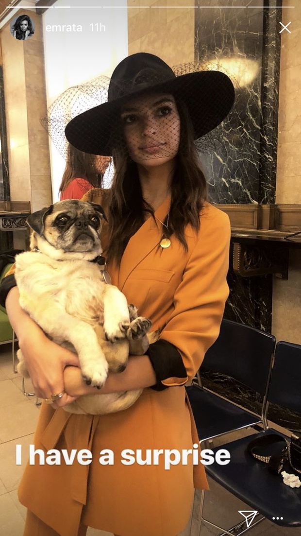 Emily Ratajkowski ogłosiła niespodziankę na swoim Instagramie. Fani musieli być nieźle zaskoczeni!