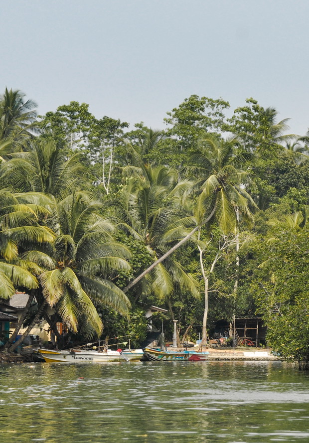 Wakacje 2018: Sri Lanka