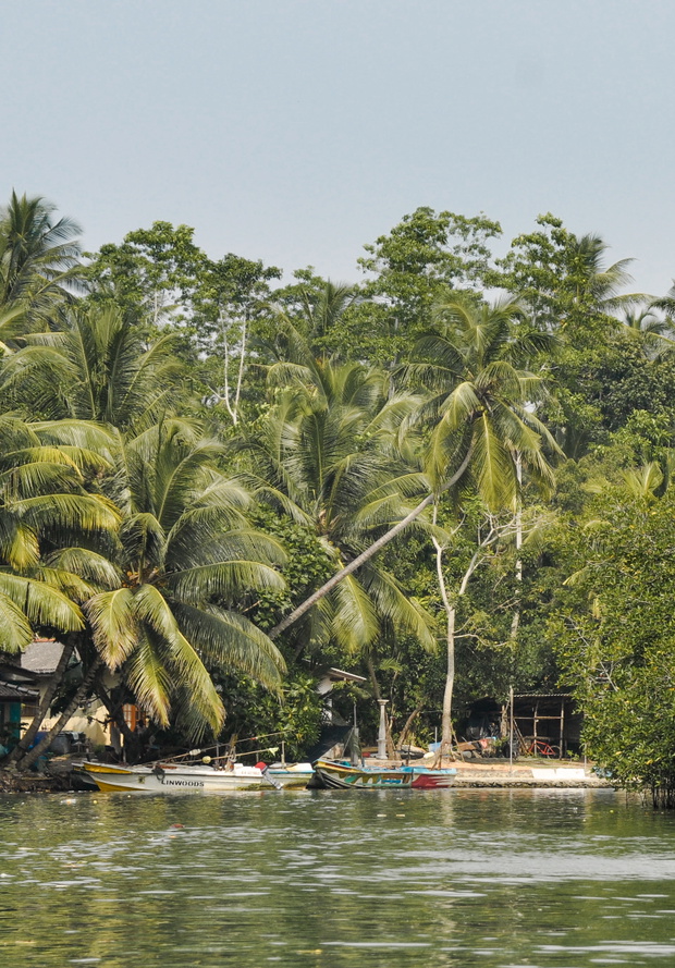 Wakacje 2018: Sri Lanka