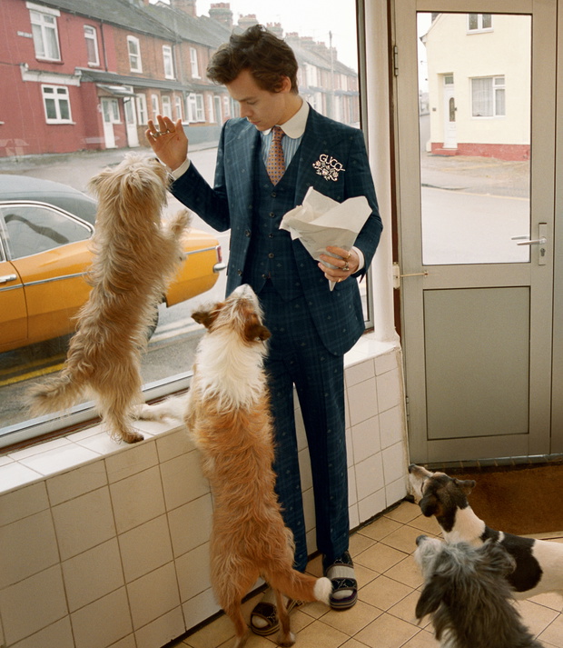 Harry Styles w kampanii Gucci Tailoring jesień-zima 2018/2019.