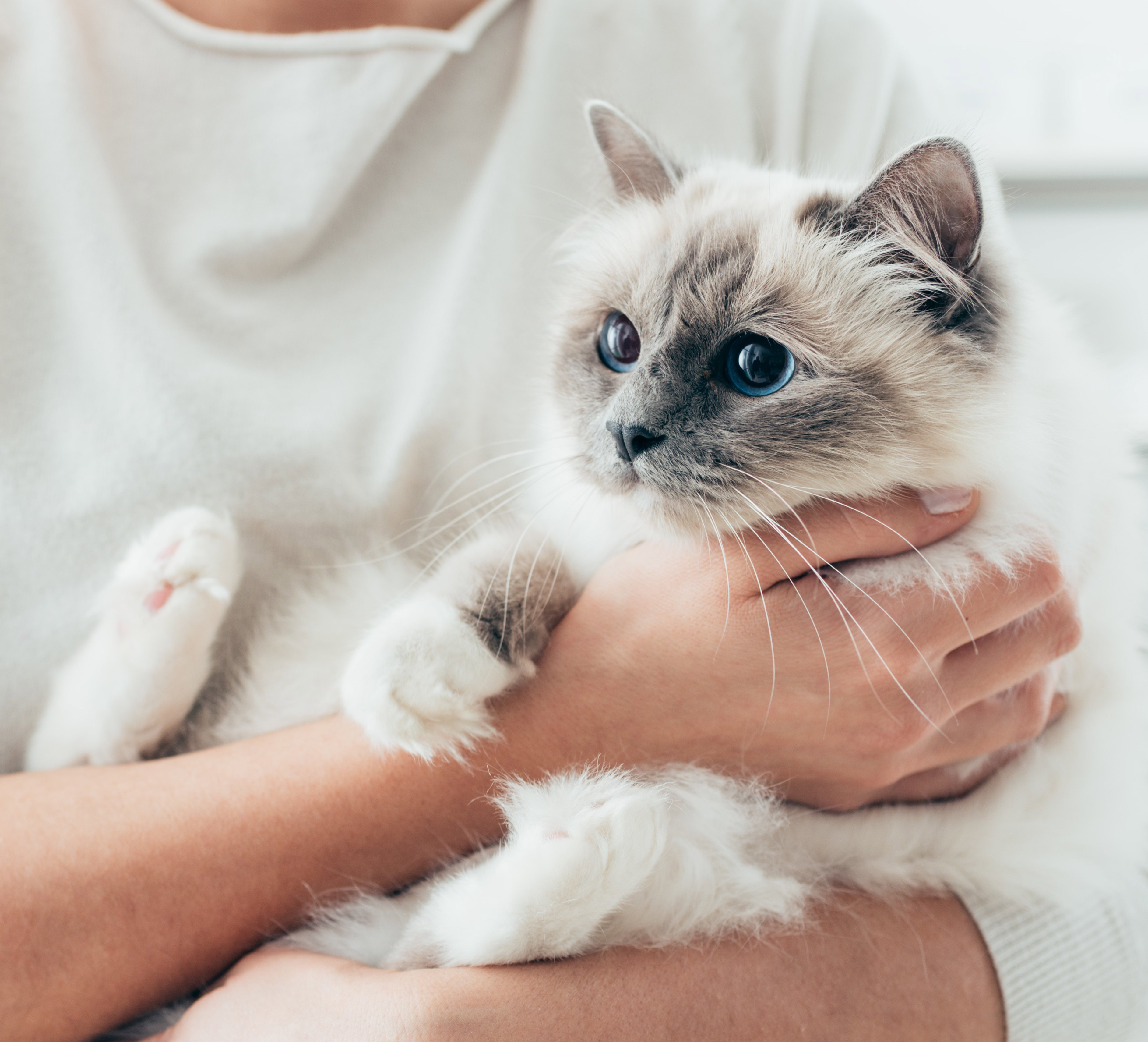 AdobeStock_99605337